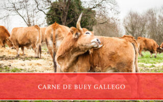 CARNE DE BUEY GALLEGO