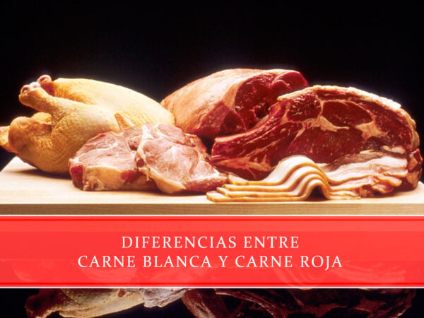Diferencias entre carne blanca y carne roja - Carnicerías Juan Ortiz